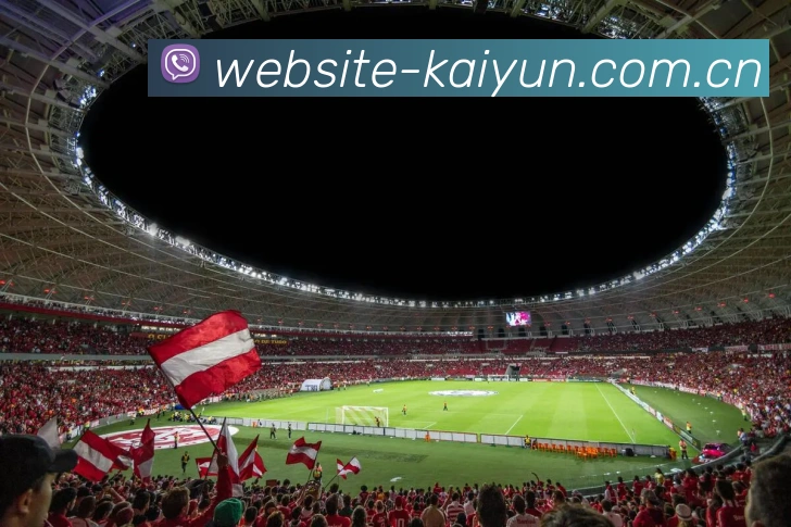 开云APP 高清赛事图